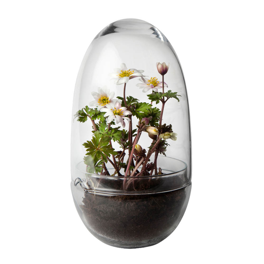 Design House Stockholm - Grow Minikasvihuone 24 cm