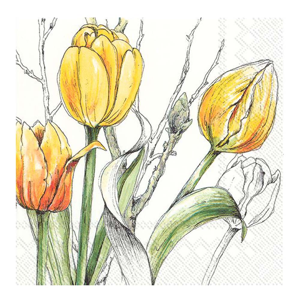 IHR – Servett Colorful Tulips 33×33 cm
