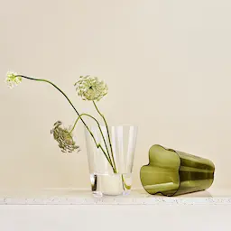 Iittala Alvar Aalto Collection Vase 22 cm Mosegrønn  hover