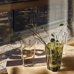 Iittala Alvar Aalto Collection Vase 25,1 cm Klar  hover