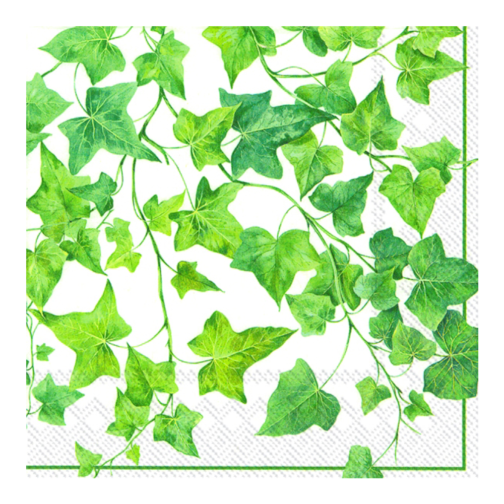 Servett 20-pack Ivy ornaments lunch