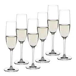 Modern House Sontell  Champagneglass 18 cl 6-pk 
