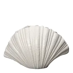 Byon Shell Maljakko 31x19 cm Valkoinen
