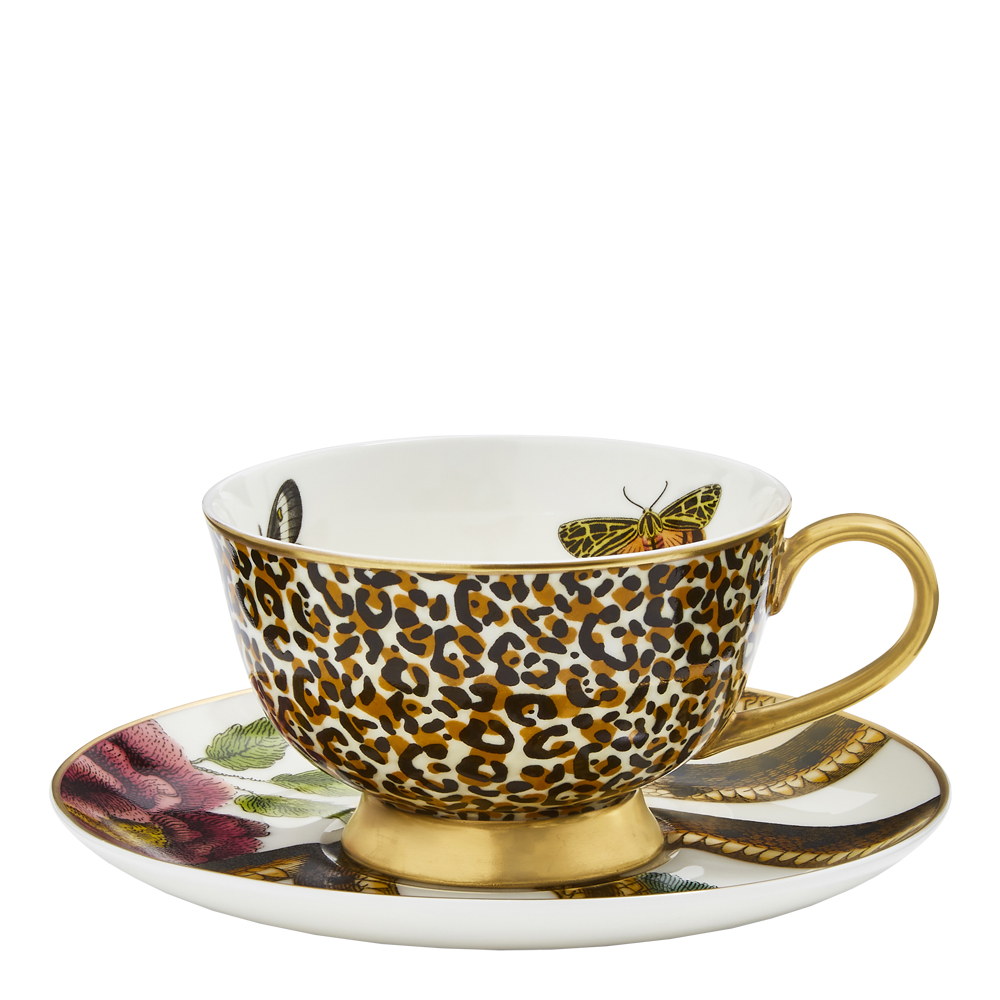 Spode - Creatures of Curiosity tekopp med fat 20 cl white/leo