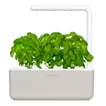 Feel Green Urban Gardening Mini Gartenwerkzeuge Elements Grow Your Own 2-Teiliges Set š Bonsai Herramienta de Regalo //Grubber & Blumenkelle
