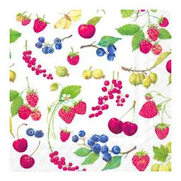 IHR Fruits of Summer Paperilautasliinat 33x33 cm