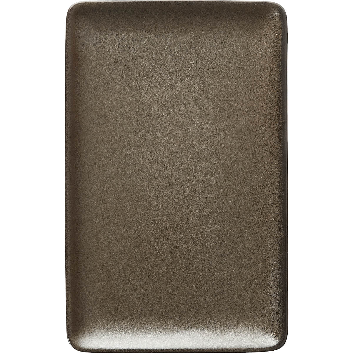 Raw Lautanen suorakulmainen 23,5×15 cm Metallic Brown