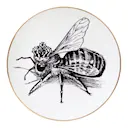 Perfect Plate Queen Bee 16 cm 