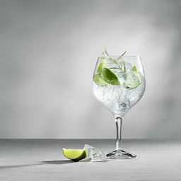 Orrefors Gin & Tonic glass 64 cl 4-pk  hover