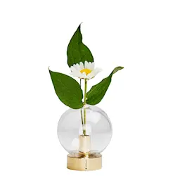 Klong Orbis Vase Glass/Messing 8x7 cm