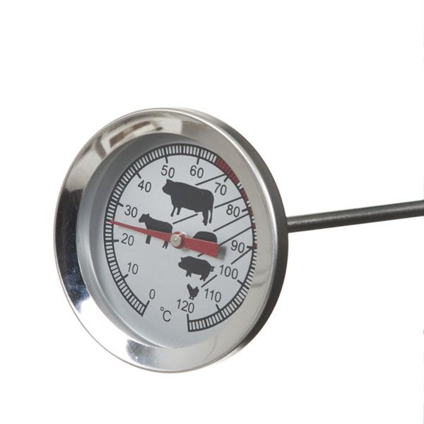 Modern House - Basis steketermometer