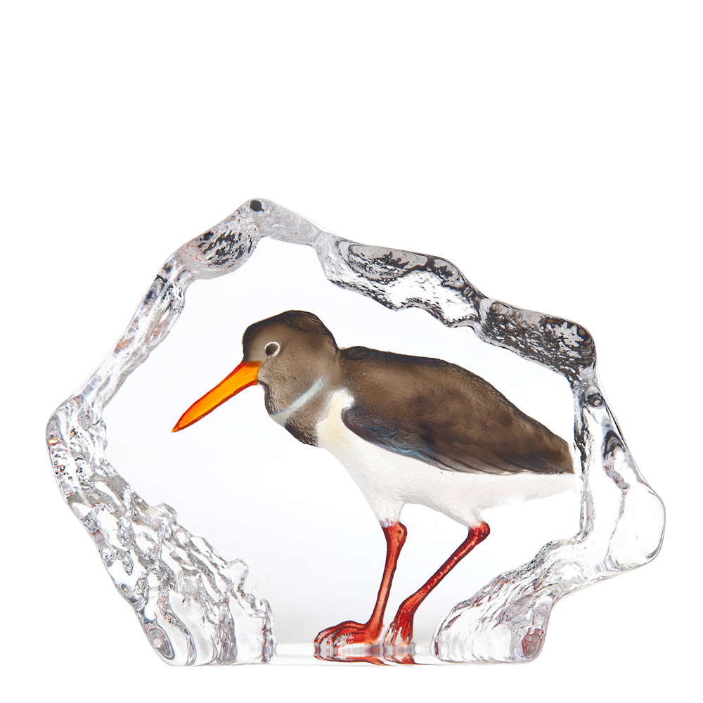 Målerås Glasbruk - Wildlife Strandskata Brun