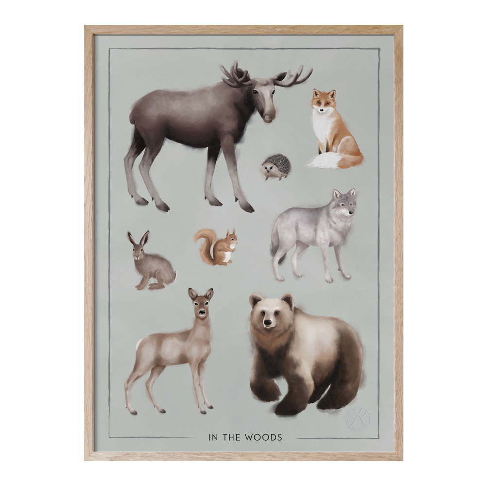 Kunskapstavlan® - Poster 50x70cm In the Woods - akvarell