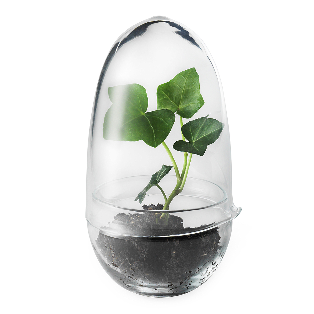 Design House Stockholm - Grow Växthus Small 14 cm