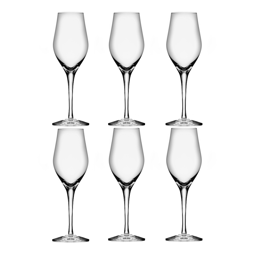 Orrefors – Sense Champagneglas 25,5 cl 6-pack