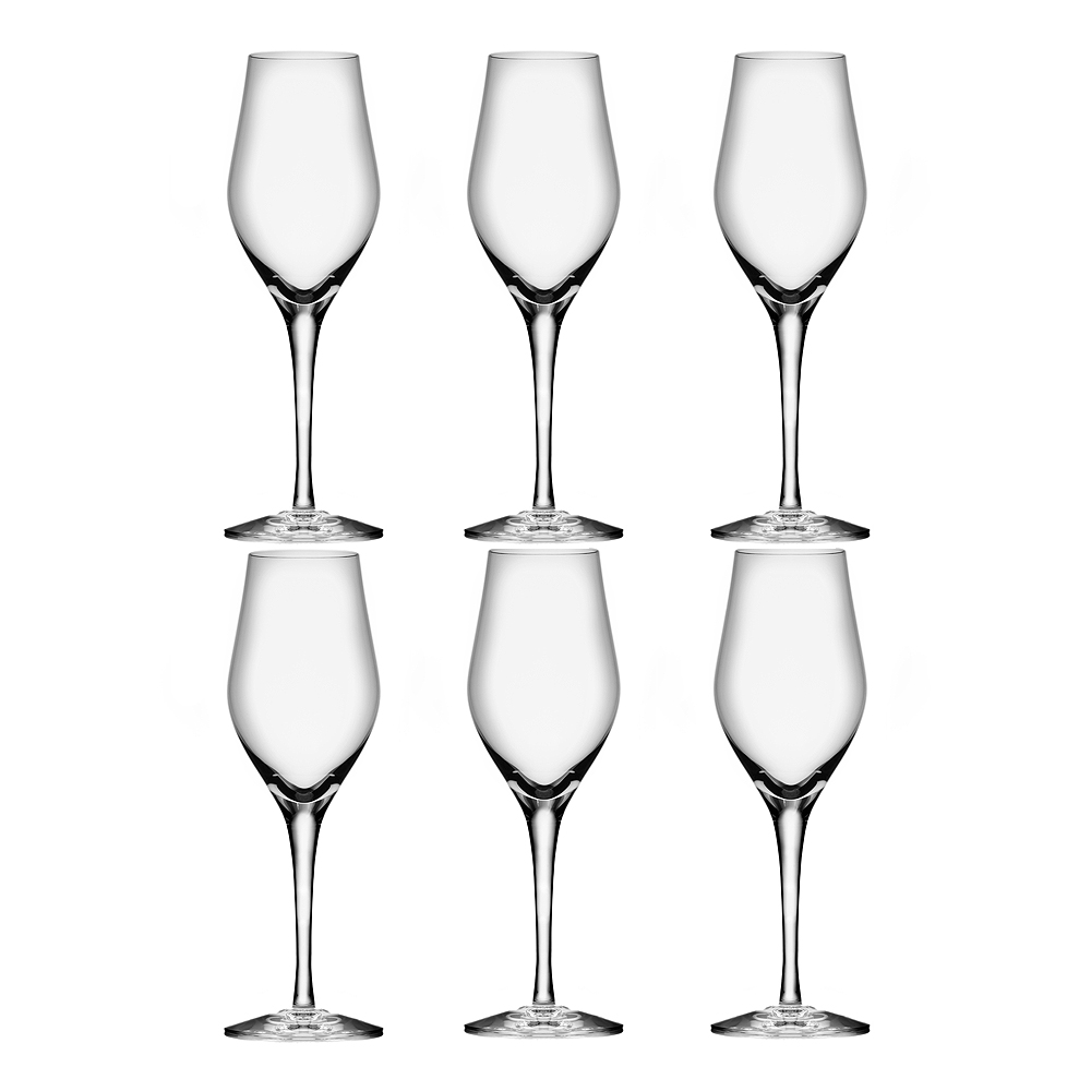 Orrefors - Sense Champagneglas 25,5 cl 6-pack
