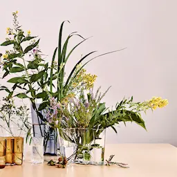 Iittala Alvar Aalto Collection Sett Vase 9,5 cm + Telysholder 6 cm  Klar  hover
